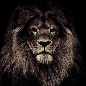 Meet your Posher, Kenneth