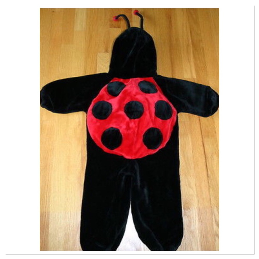 Cute as a (lady)bug costume!