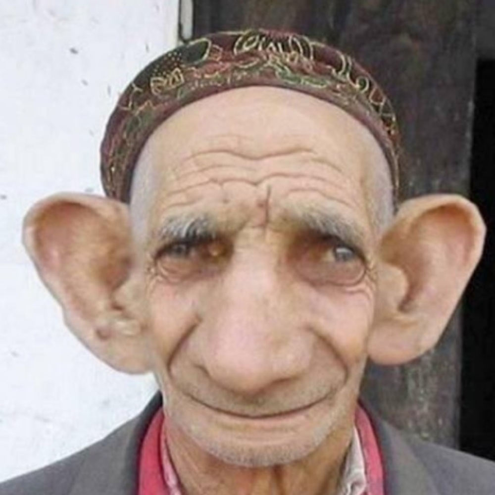 Meet your Posher, Wade