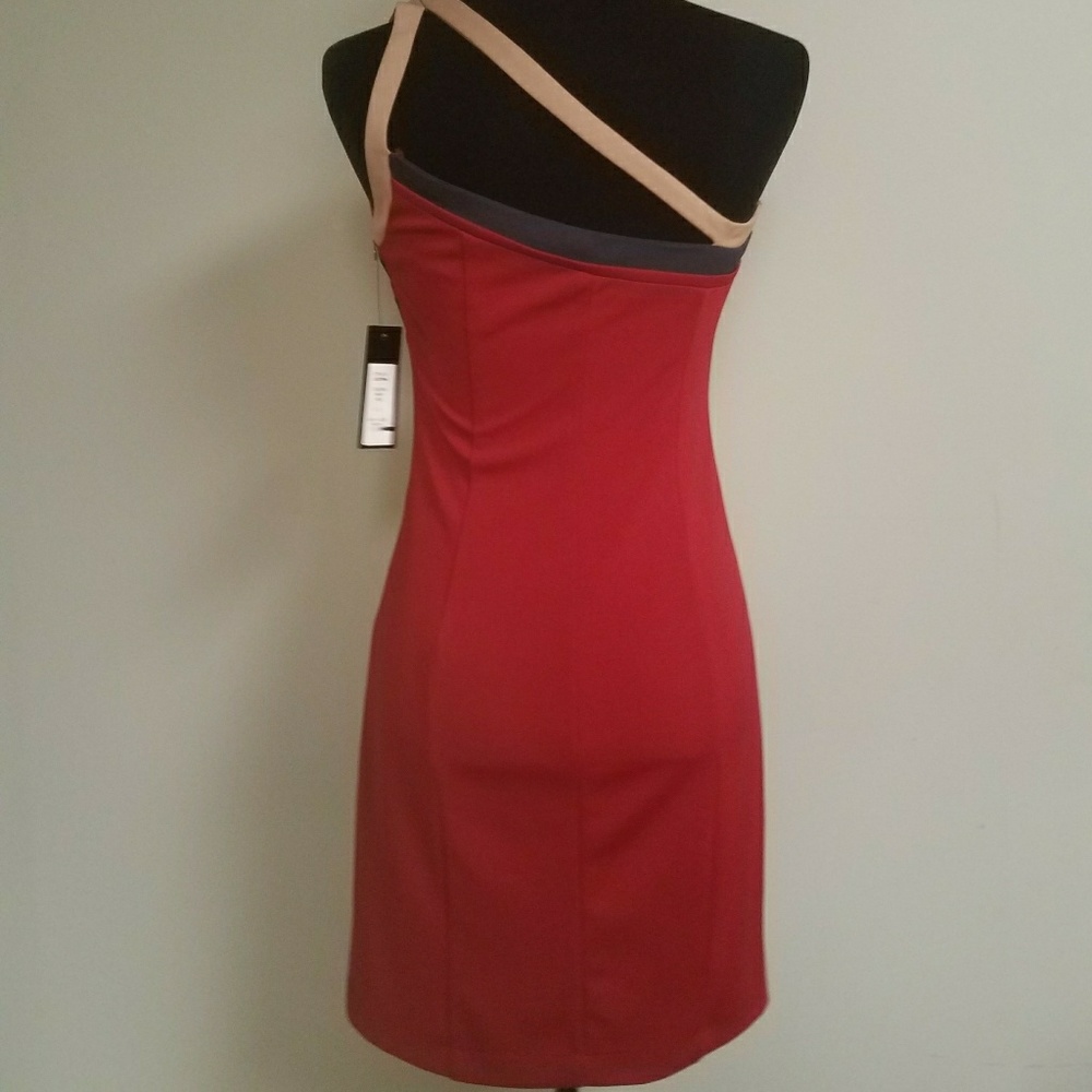 C. Lucé Dress - Picture 2 of 6