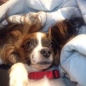 Meet your Posher, Nancy