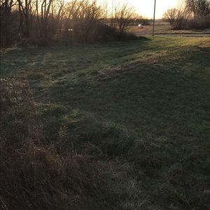 Meet your Posher, Wesley