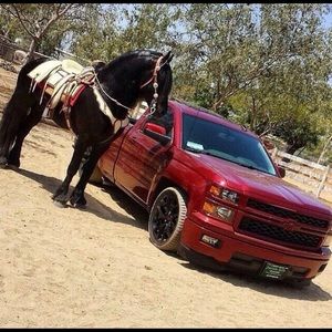 Meet your Posher, Cindy