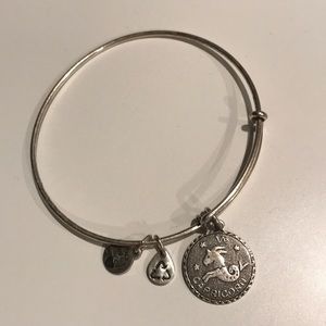 Alex and Ani Capricorn bracelet