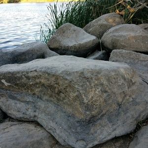 Meet your Posher, Ivan