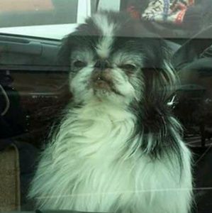 Meet your Posher, Meaghan