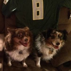 Meet your Posher, Penny