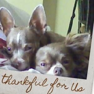 Meet your Posher, Vicki