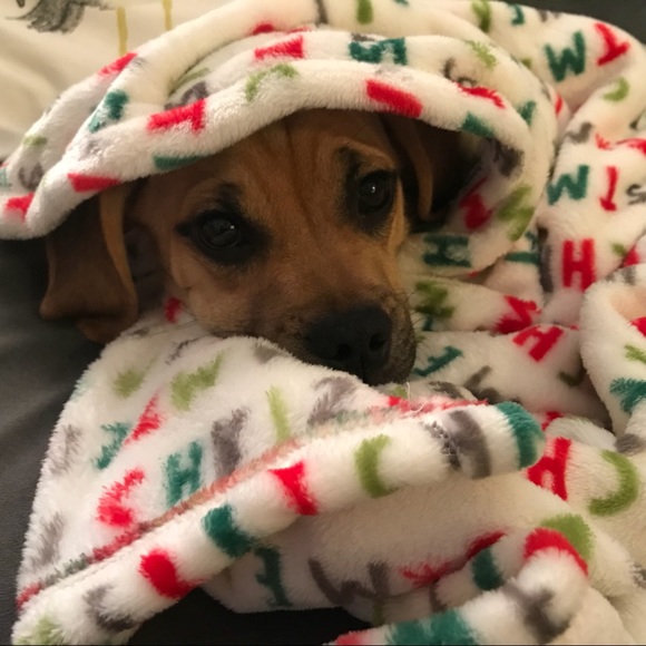 Meet your Posher, Kathy - Picture 1 of 1