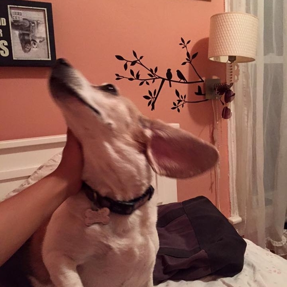 Meet your Posher, Alison - Picture 1 of 1