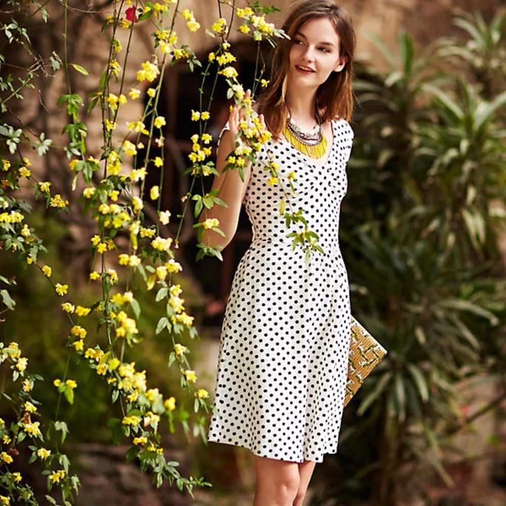 Anthropologie Matilde Dress - White and Black