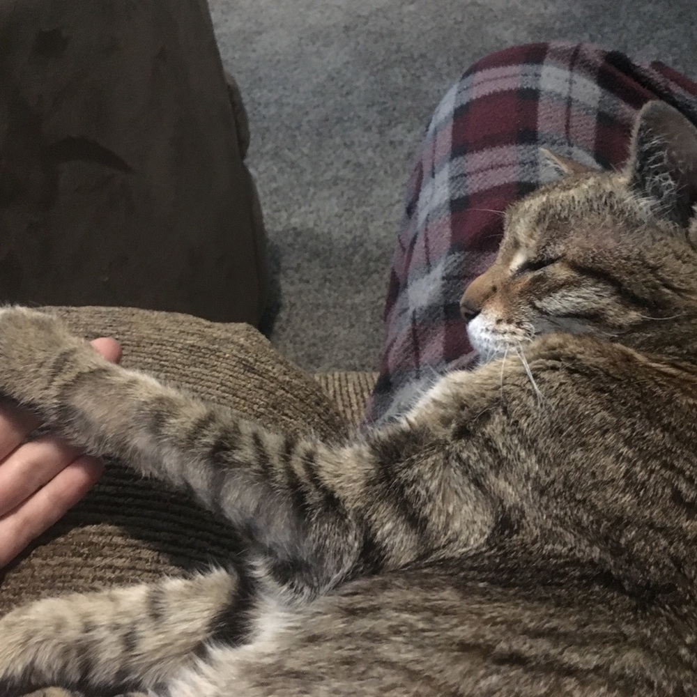 Meet your Posher, Evette