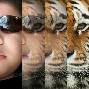 Meet your Posher, Noel