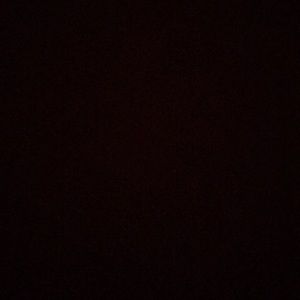 Meet your Posher, Peyton