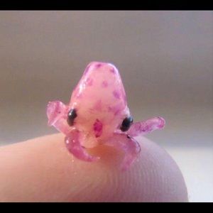 Meet your Posher, Mackenzie