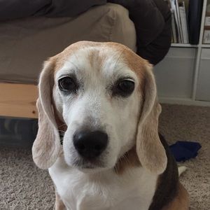 Meet your Posher, Waiaka