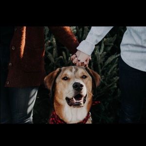 Meet your Posher, Grayson