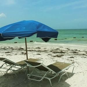 Meet your Posher, Harper