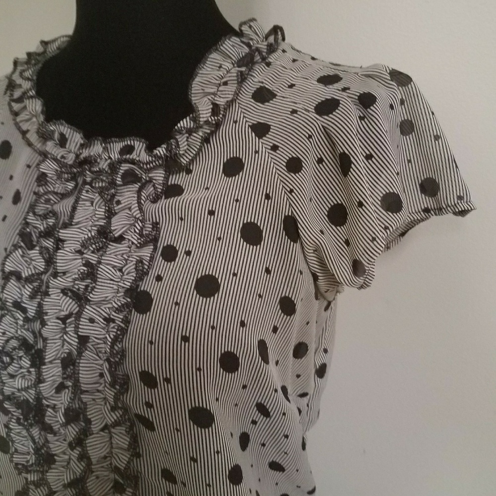 The Limited Blouse - Picture 4 of 5