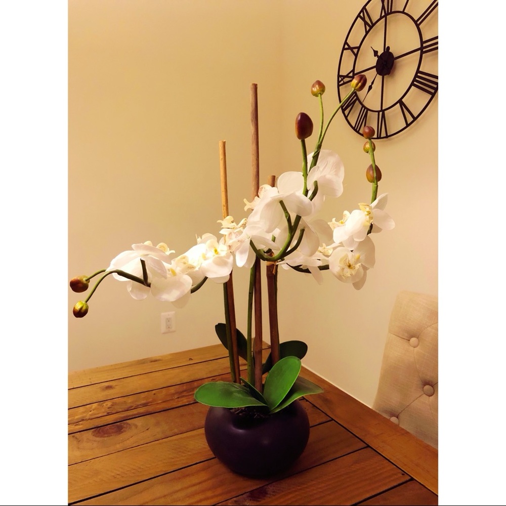Beautiful orchid decor