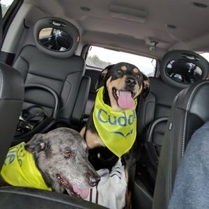 Meet your Posher, Jennifer