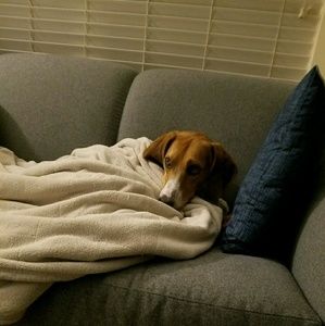 Meet your Posher, Beverly