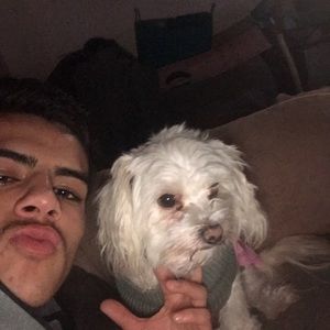 Meet your Posher, Damian