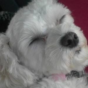 Meet your Posher, Heidi