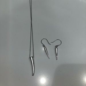 Silver horn earrings and necklace set
