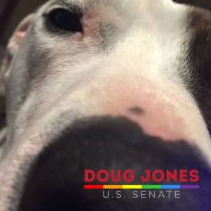 Meet your Posher, Loren