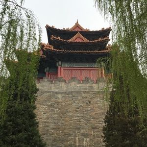 Meet your Posher, Michele