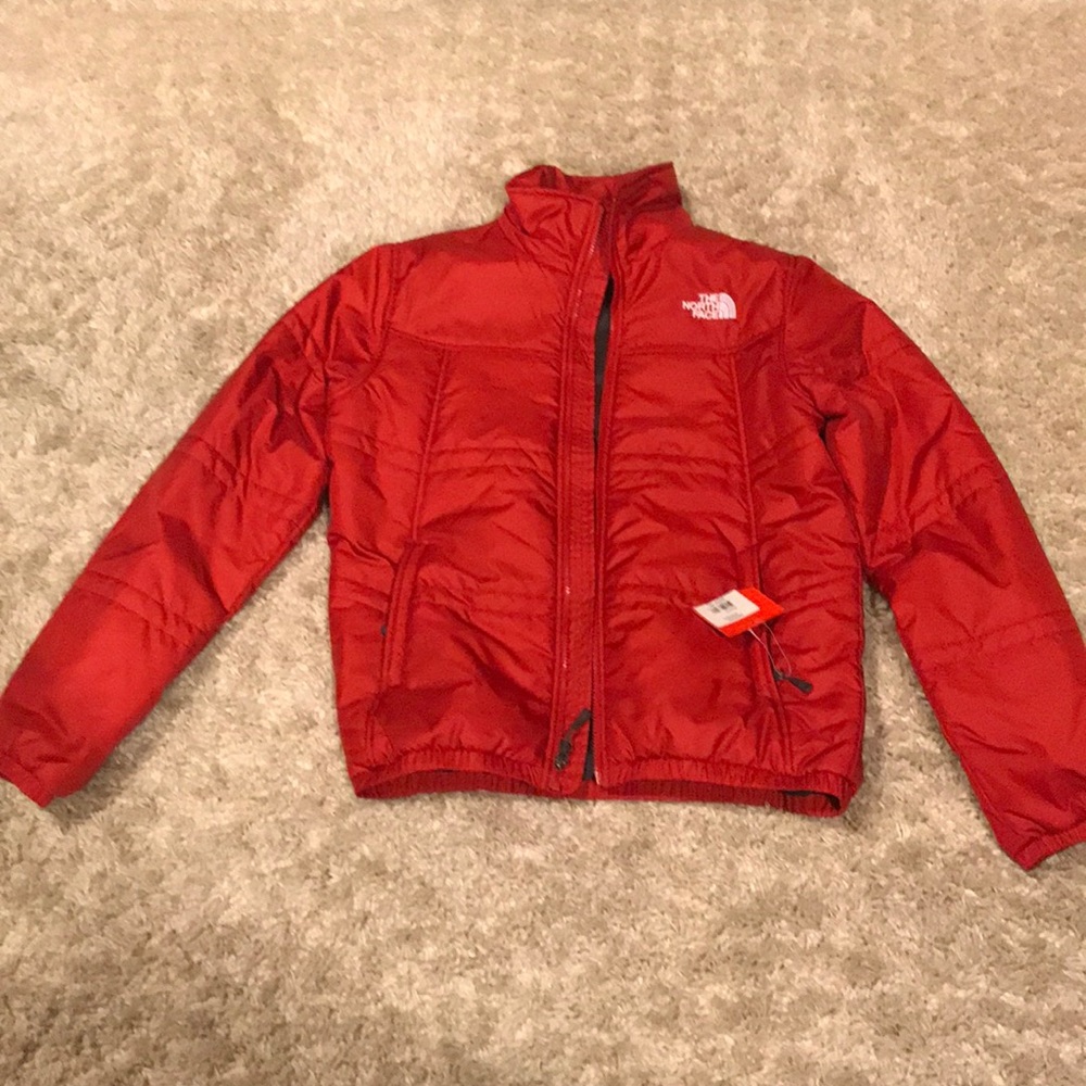 The North face mens jacket