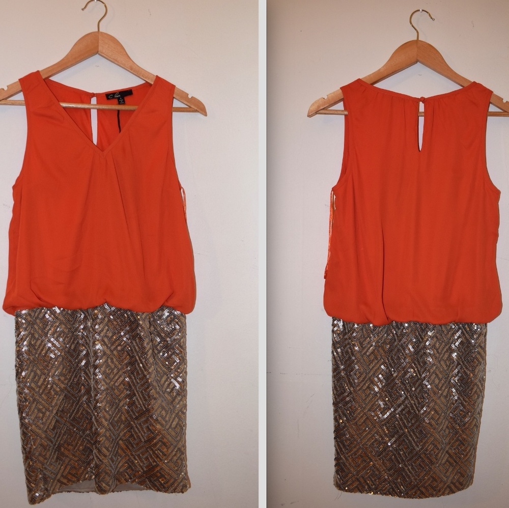 C Luce Sequin Hem Dress