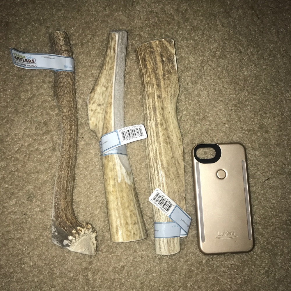 100% Real All Natural Elk Horns