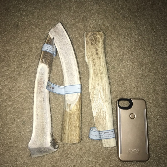 100% Real All Natural Elk Horns - Picture 2 of 3