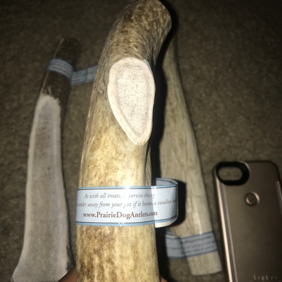 100% Real All Natural Elk Horns - Picture 3 of 3