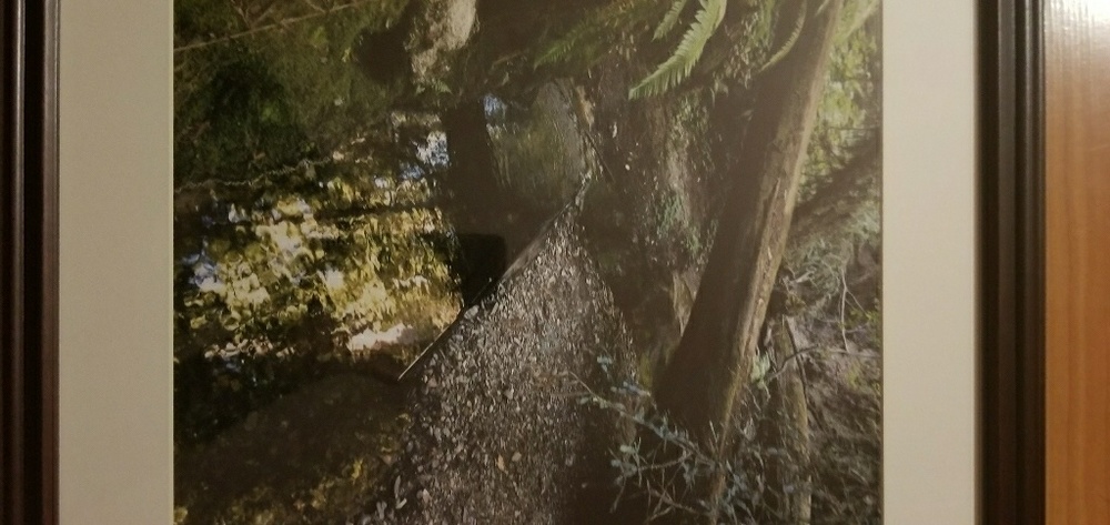 Original Photography of Butano Henkin-Haas