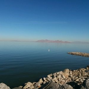 Meet your Posher, Lattu