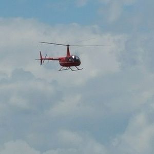 Meet your Posher, Holly