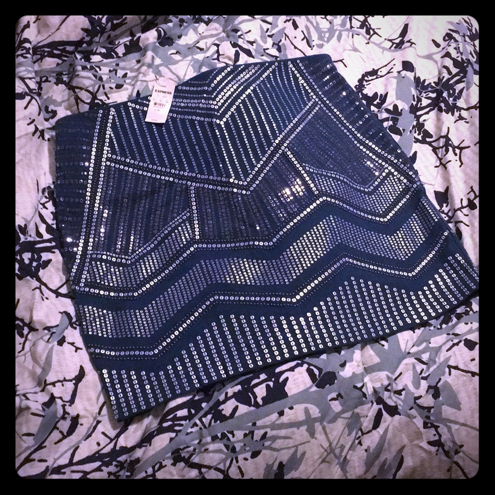Beautiful sequin skirt from Express!!