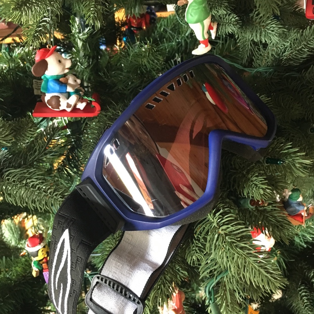 Smith Goggles