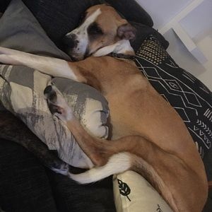 Meet your Posher, Chris