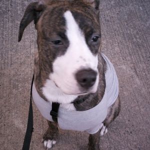 Meet your Posher, Frank