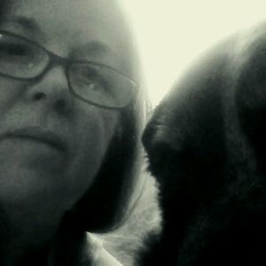 Meet your Posher, Moe