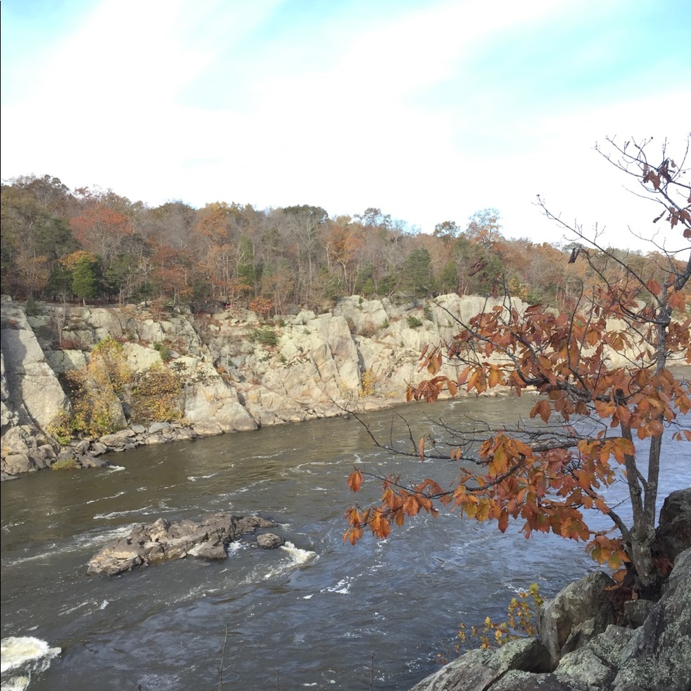 Meet your Posher, Nasim