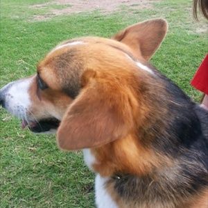 Meet your Posher, Denise