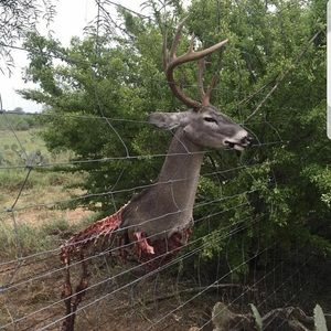 Meet your Posher, Emmanuel