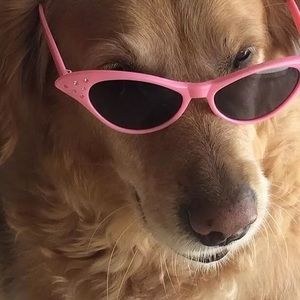 Meet your Posher, Chen