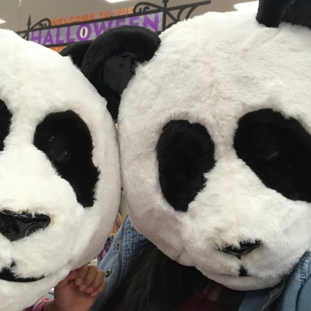 Meet your Posher, Emmylou