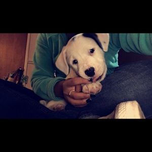 Meet your Posher, Karyna